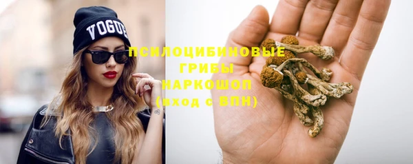 трава Арсеньев