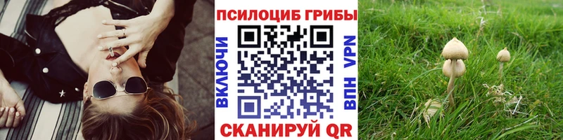 Псилоцибиновые грибы GOLDEN TEACHER  купить наркотики цена  Чухлома 